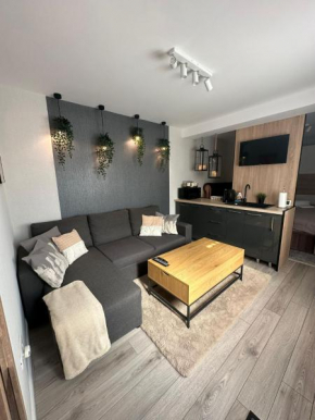 Luxury Studio Iasi